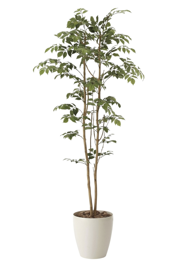 光触媒　光の楽園マウンテンアッシュ 高さ 1.6ｍ【インテリア フェイクグリーン 大型 人工観葉植物】(604a270)