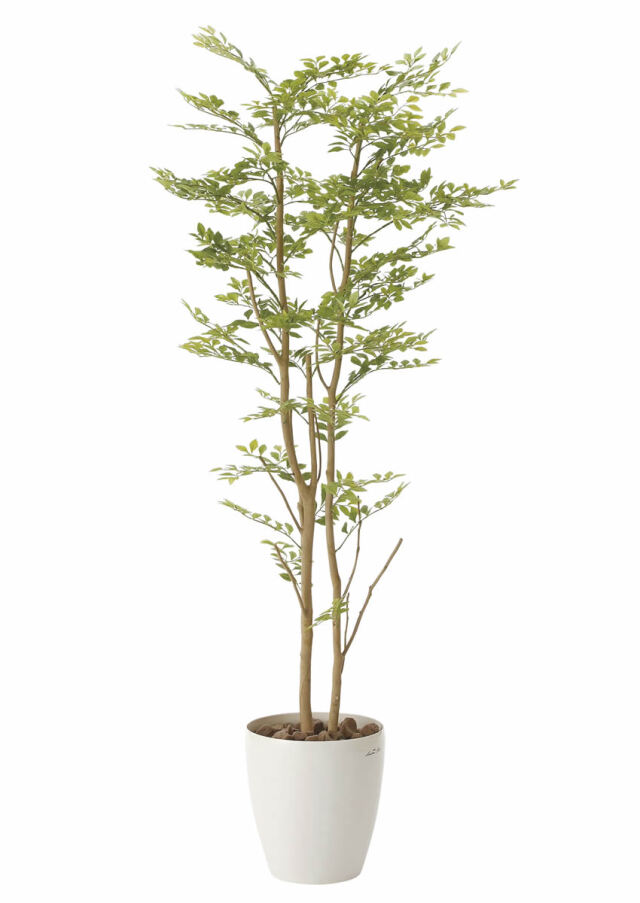 光触媒 光の楽園 ゴールデンリーフ 1.6m【インテリア フェイクグリーン 人工観葉植物】(605P350)（※ラッピング不可）