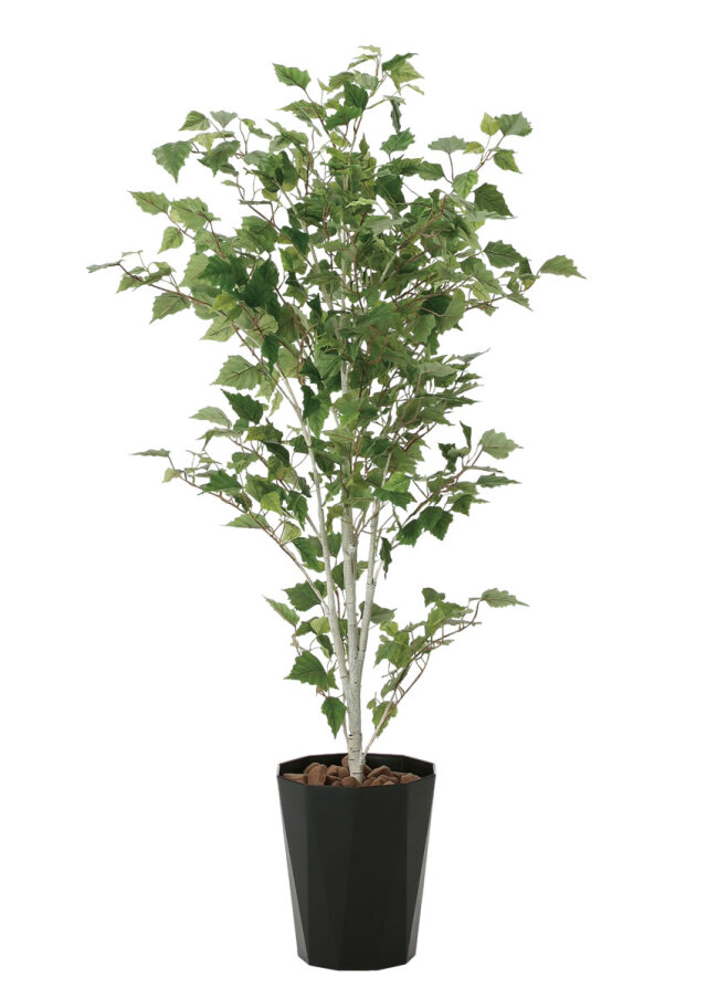 光触媒 光の楽園 白樺1.4m【インテリア フェイクグリーン 人工観葉植物】(607R300)
