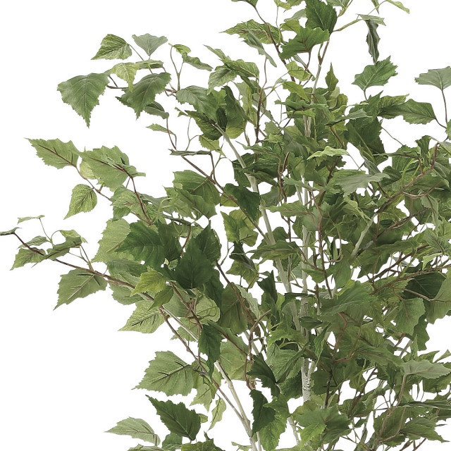 光触媒　人工観葉植物　ウォールグリーン　フェイクグリーン　白樺パーチツリー107 光触媒 人工観葉植物 ウォールグリーン フェイクグリーン 白樺
