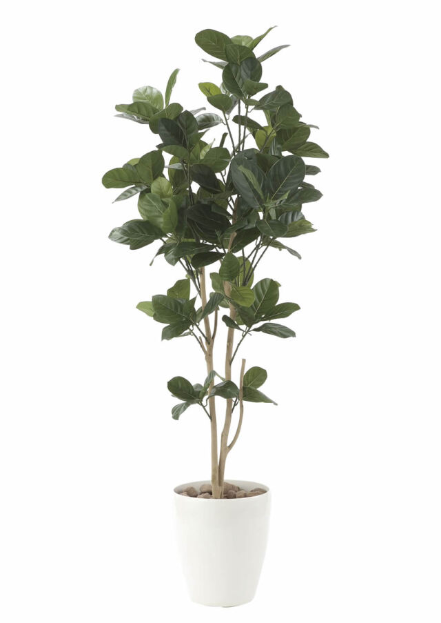 光触媒 光の楽園 パンの木1.25m【インテリア フェイクグリーン 人工観葉植物】(611P240)（※ラッピング不可）