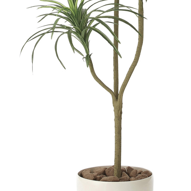 光触媒　人工観葉植物　ウォールグリーン　フェイク　フラワー　ユッカ170 光触媒 光の楽園ユッカ 高さ 1.6m【インテリア フェイク