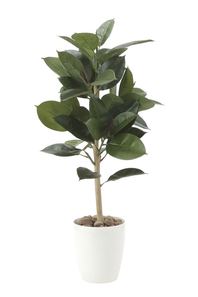光触媒　光の楽園ゴムの木90【フェイクグリーン 人工観葉植物】(614e130)