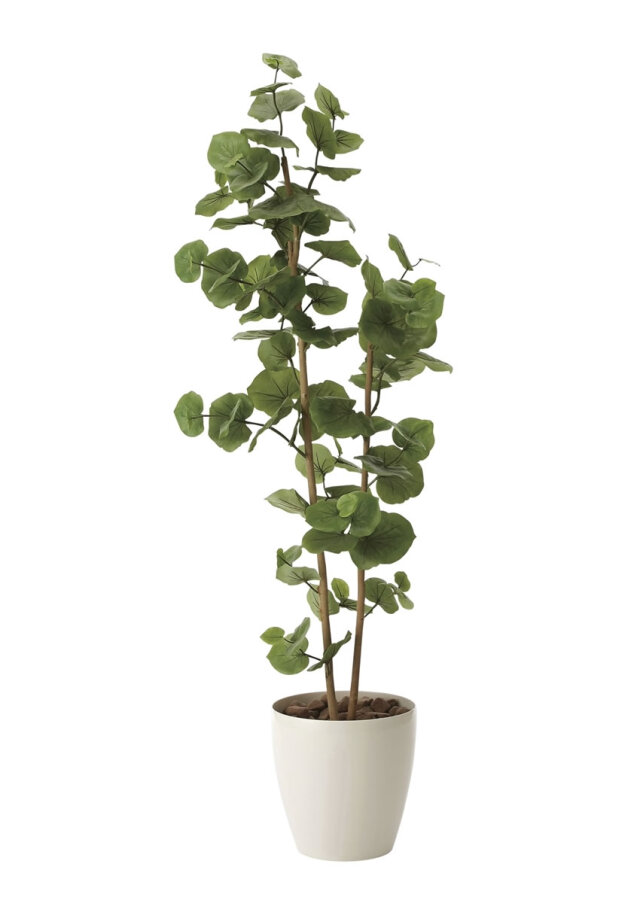 光触媒　光の楽園シーグレープ 高さ 1.6ｍ【インテリア フェイクグリーン 大型 人工観葉植物】(616a280)