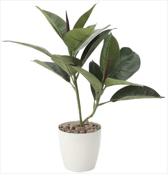 光触媒 光の楽園 ゴムの木 【インテリア フェイクグリーン 人工観葉植物】 (637g50)