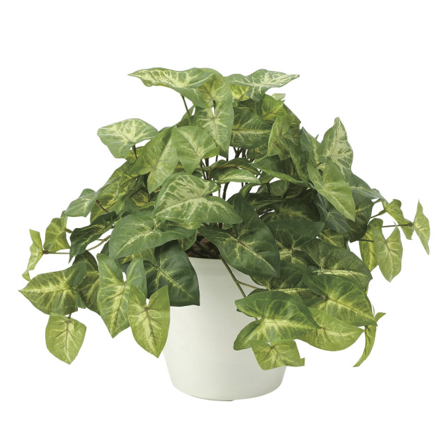 光触媒　光の楽園フレッシュカラ-ジュ-ム【インテリアグリーン 人工観葉植物】(643a50)