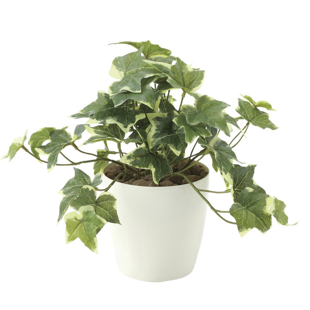 光触媒　光の楽園フレッシュ斑入りアイビ-S【インテリアグリーン 人工観葉植物】(646a35)