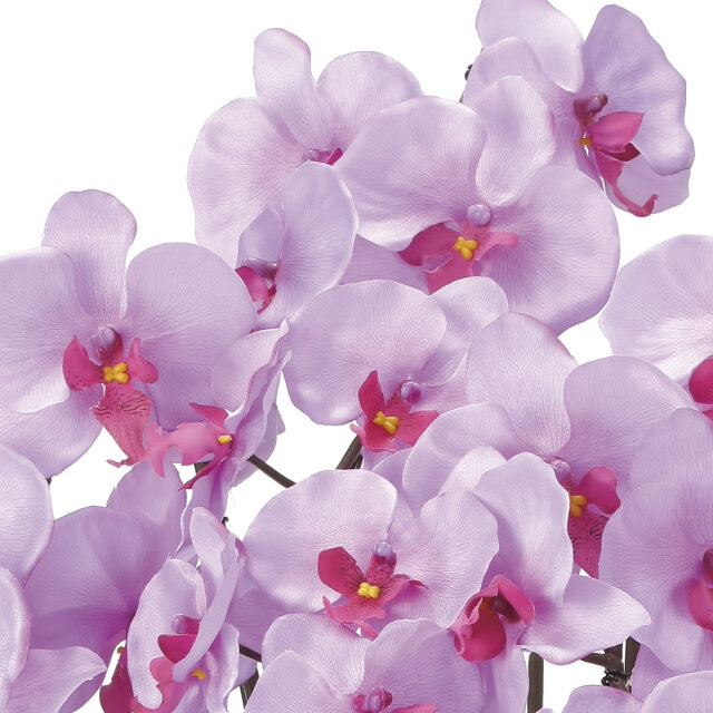 光触媒 光の楽園クイーン胡蝶蘭5本立L【アートフラワー 造花