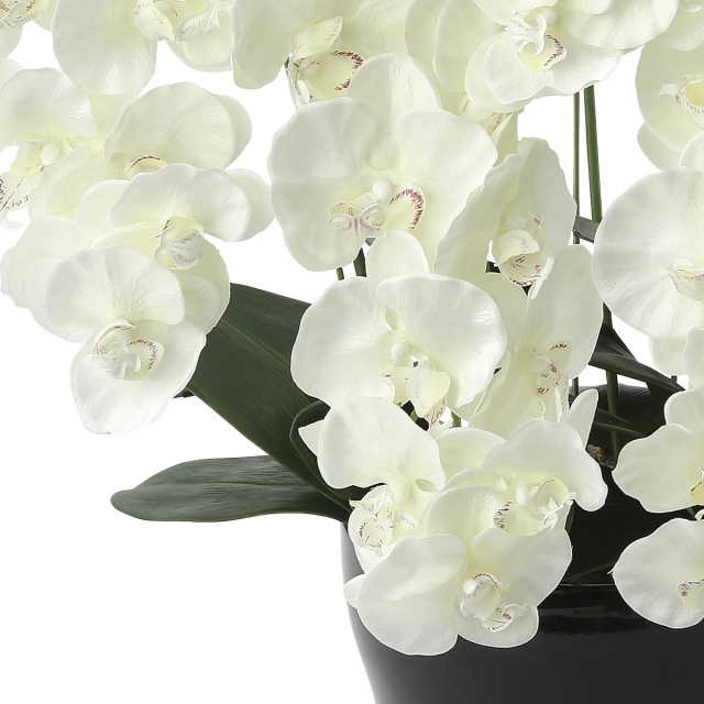 光触媒 光の楽園プレミアム胡蝶蘭7本立W【アートフラワー 造花