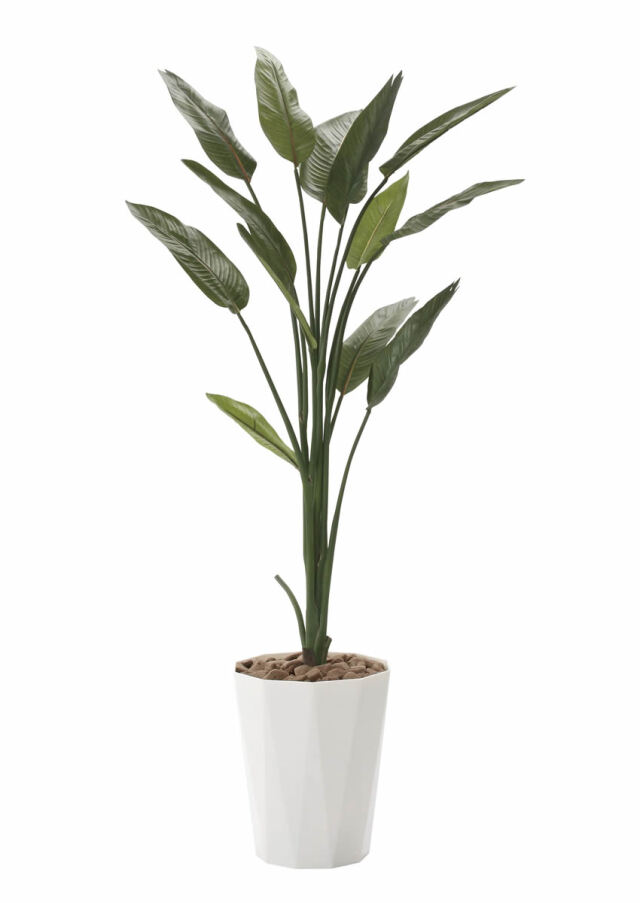 光触媒　人工観葉植物　ウォールグリーン　フェイクグリーン　ストレチア1.6m 光触媒 人工観葉植物 ウォールグリーン フェイクグリーン
