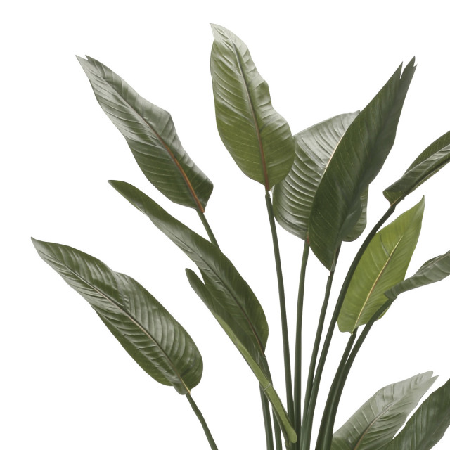 光触媒　人工観葉植物　ウォールグリーン　フェイクグリーン　ストレチア1.6 光触媒 光の楽園 ストレチア1.6m【インテリア フェイクグリーン