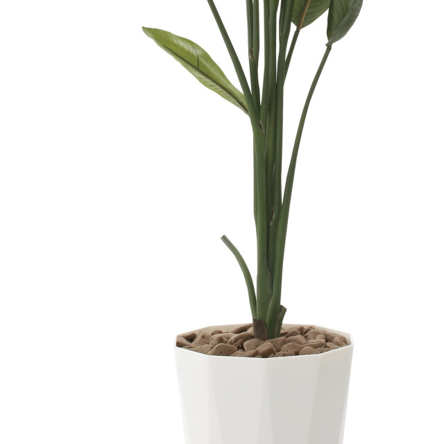 光触媒 光の楽園 ストレチア1.6m【インテリア フェイクグリーン