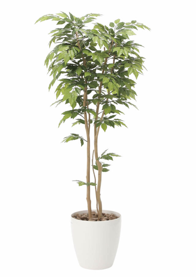 光触媒 光の楽園 ケヤキ1.8m【インテリア フェイクグリーン 人工観葉植物】(807P470)（※ラッピング不可）
