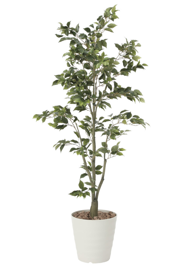 光触媒 光の楽園 フィカスツリー1.8m【インテリア フェイクグリーン 人工観葉植物】(822K400)