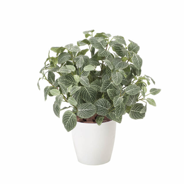 光触媒 光の楽園 フィットニアM（フロック加工）【アートフラワー 造花】(832P100)