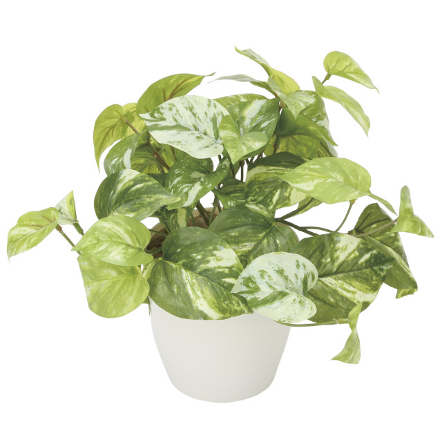 光触媒 光の楽園 マーブルポトス 【インテリアグリーン 人工観葉植物】 (836g35)