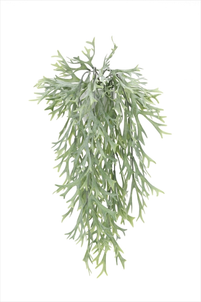 <2018新作>光触媒　光の楽園スタックホーン【インテリアグリーン 人工観葉植物】(882a35)