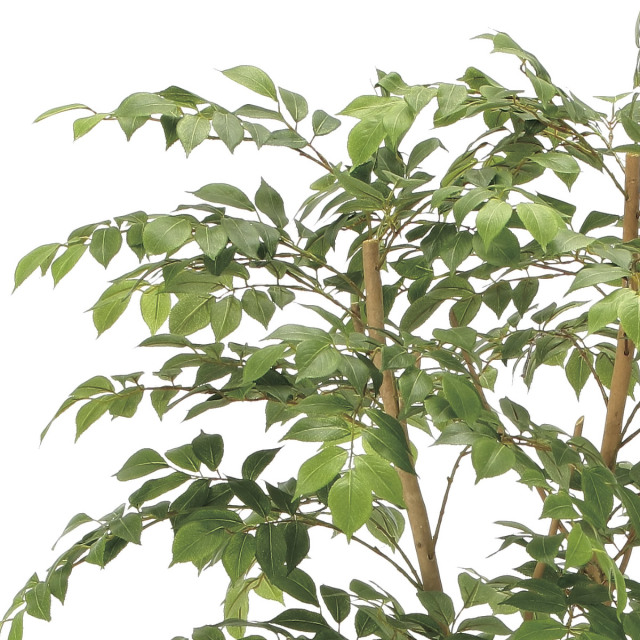 光触媒　人工観葉植物　フェイクグリーン　マウンテンアッシュ1.8m 光触媒 人工観葉植物 フェイクグリーン マウンテンアッシュ1.8m