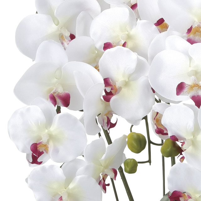 光触媒 光の楽園クイーン胡蝶蘭5本立W/AB【アートフラワー 造花
