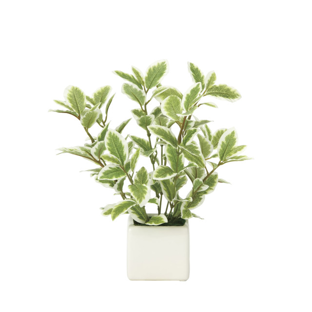 光触媒 光の楽園 ミニリーフG/W【インテリア 人工観葉植物】(935K28)