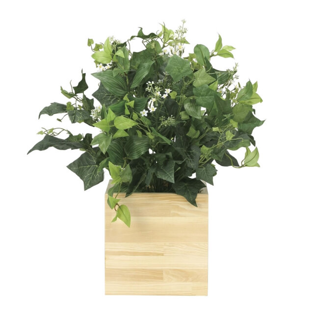 光触媒　光の楽園ウッドボックスK【インテリア フェイクグリーン 人工観葉植物】（※ラッピング不可）(937a150)