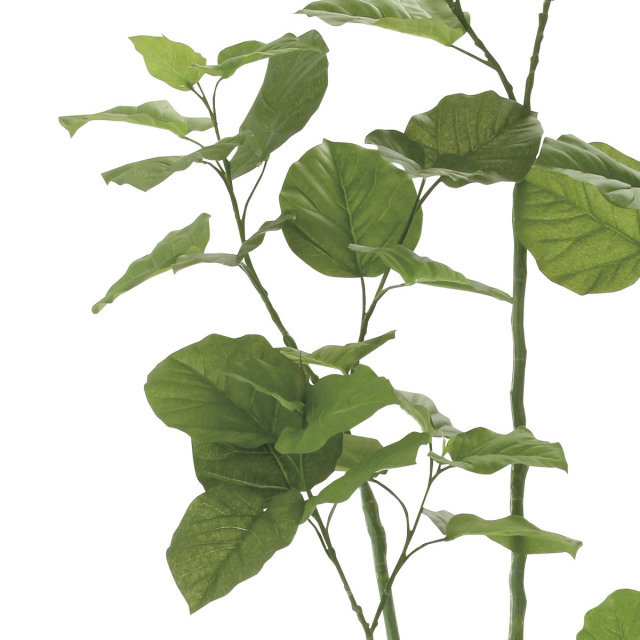 光触媒 光の楽園 アーバンブランチウンベラータ1.8m【インテリア