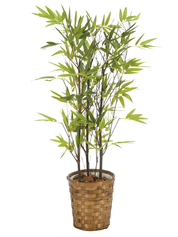 光触媒 光の楽園黒竹 75cm インテリアグリーン 人工観葉植物 Acn0 造花と観葉植物の専門店 光の楽園
