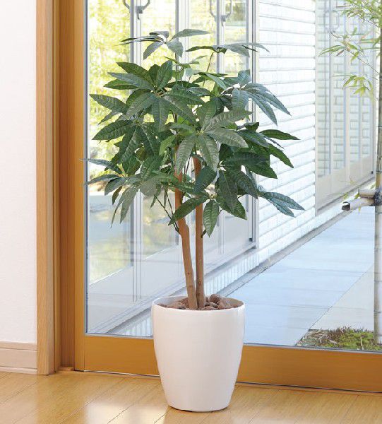 光触媒 観葉植物 人工観葉植物 の販売 光の楽園