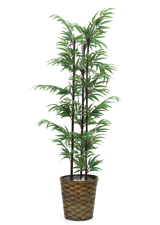光触媒　光の楽園 一点ものグリーン 高さ140cm【インテリアグリーン 人工観葉植物】(acnone108)