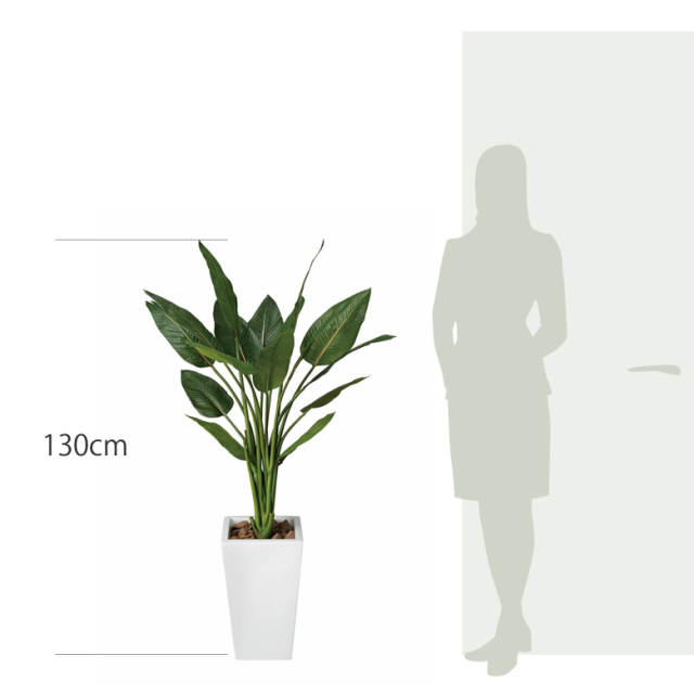 光触媒　人工観葉植物　ウォールグリーン　フェイクグリーン　ストレチアW1.3m 光触媒 人工観葉植物 ウォールグリーン フェイクグリーン