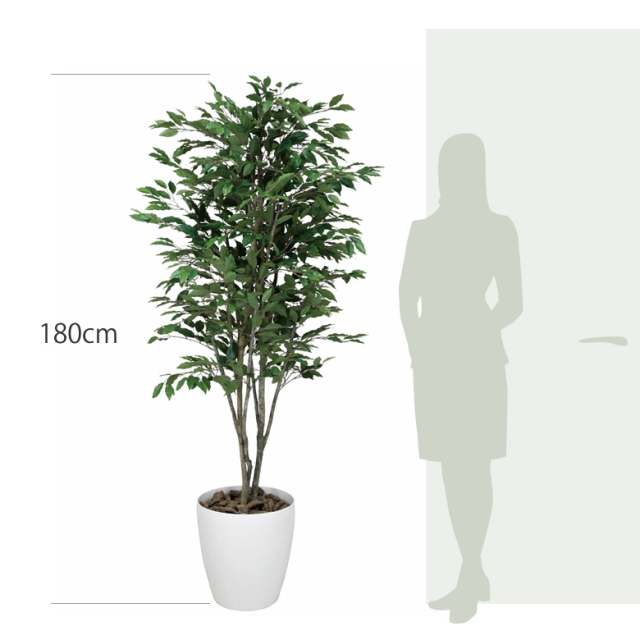 item_size_157k520.jpg?t=