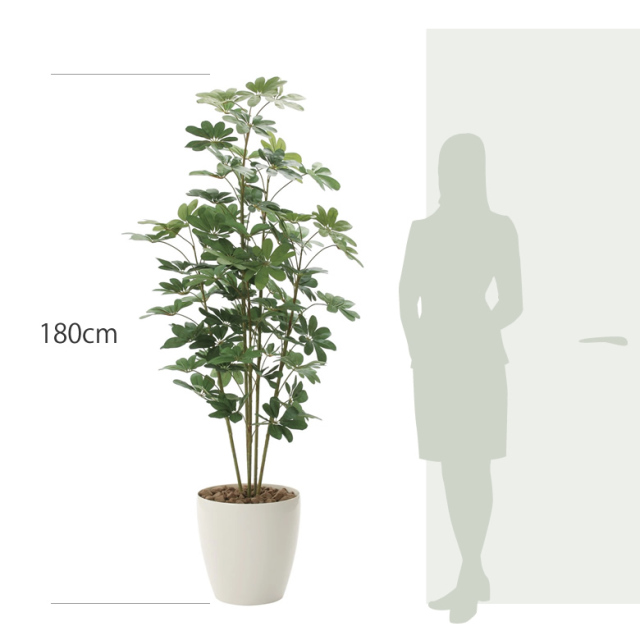 光触媒　人工観葉植物　ウォールグリーン　フェイクグリーン　カポック斑入リ1.2m 光触媒 光の楽園 カポック斑入リ1.2m【インテリア フェイク