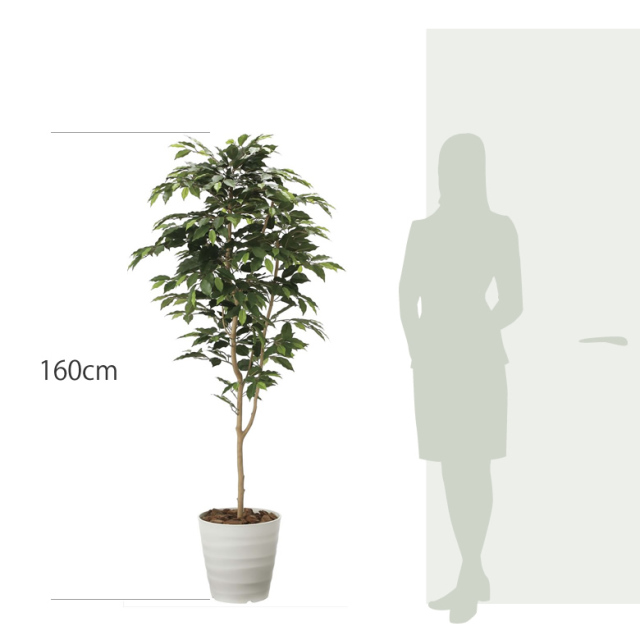 光触媒 光の楽園 ベンジャミン 高さ 1.6m 【インテリア フェイク