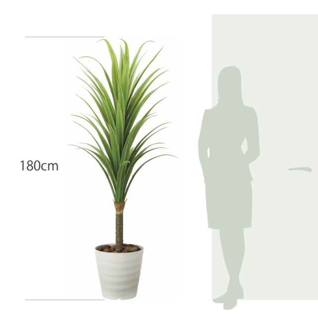 光触媒 光の楽園 ドラセナ 高さ 1.8m 【インテリア フェイクグリーン