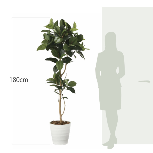 item_size_2024p380.jpg?t=