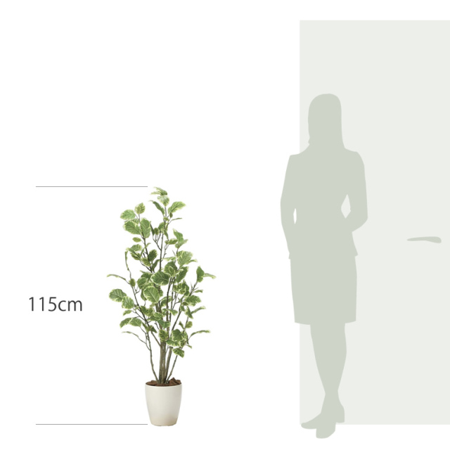 光触媒 光の楽園 ポリシャス 高さ 1.15m 【インテリア フェイク