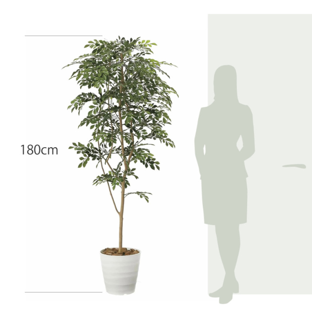 光触媒　人工観葉植物　ウォールグリーン　フェイクグリーン　トネリコ高さ1.8m 光触媒 光の楽園 トネリコ1.8m【インテリア フェイクグリーン 人工観葉