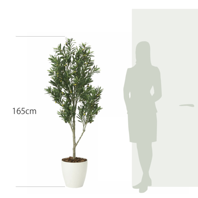 光触媒　人工観葉植物　ウォールグリーン　フェイクグリーン　オリーブツリー1.7m 光触媒 人工観葉植物 ウォールグリーン フェイクグリーン オリーブ