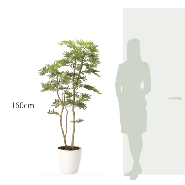 光触媒 光の楽園 ねむの木 高さ 1.6m 【インテリア フェイク