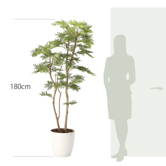 光触媒 光の楽園 ねむの木 高さ 1.8m 【インテリア フェイクグリーン