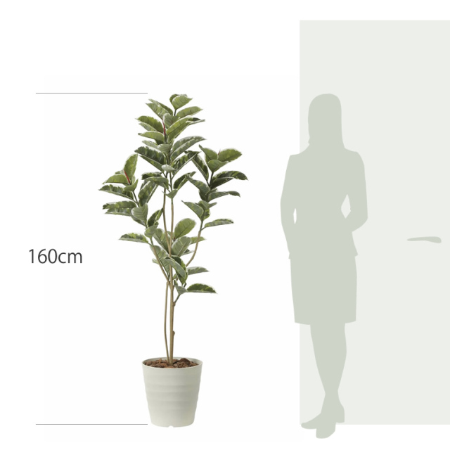 植物人形2体セット N0-16925--craisu3s6g2_g05.jpg?