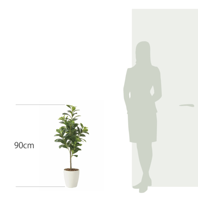 光触媒　人工観葉植物　フェイクグリーン　フレッシュマネーツリー1.15m 光触媒 人工観葉植物 フェイクグリーン フレッシュマネーツリー1.15m