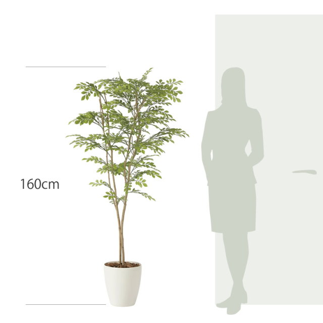 光触媒　人工観葉植物　ウォールグリーン　フェイクグリーン　ライトトネリコ1.6m 光触媒 人工観葉植物 ウォールグリーン フェイクグリーン ライト