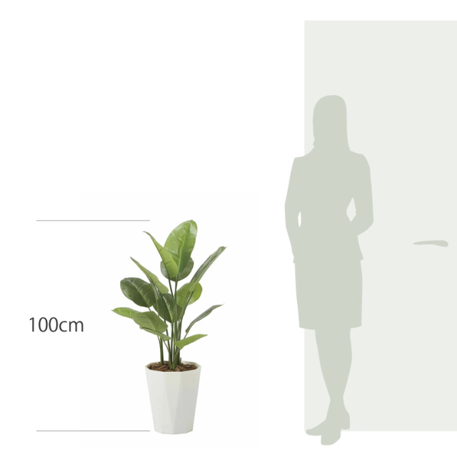 光触媒 光の楽園 スキンダプサス 1.0m【インテリア フェイクグリーン