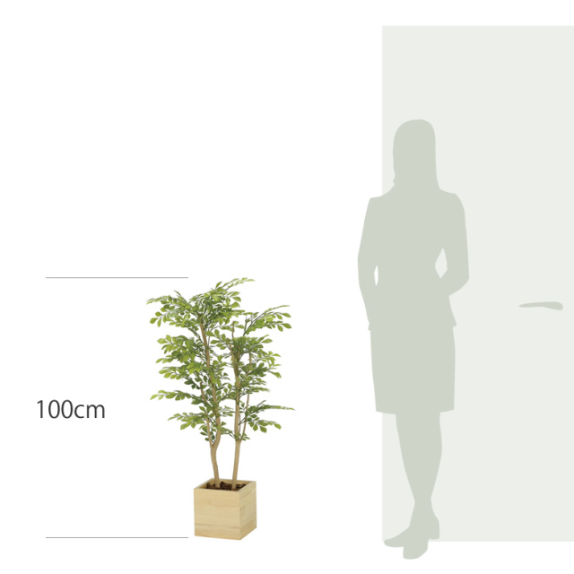 光触媒 光の楽園 ウッドボックスライトトネリコ1.0m【インテリア