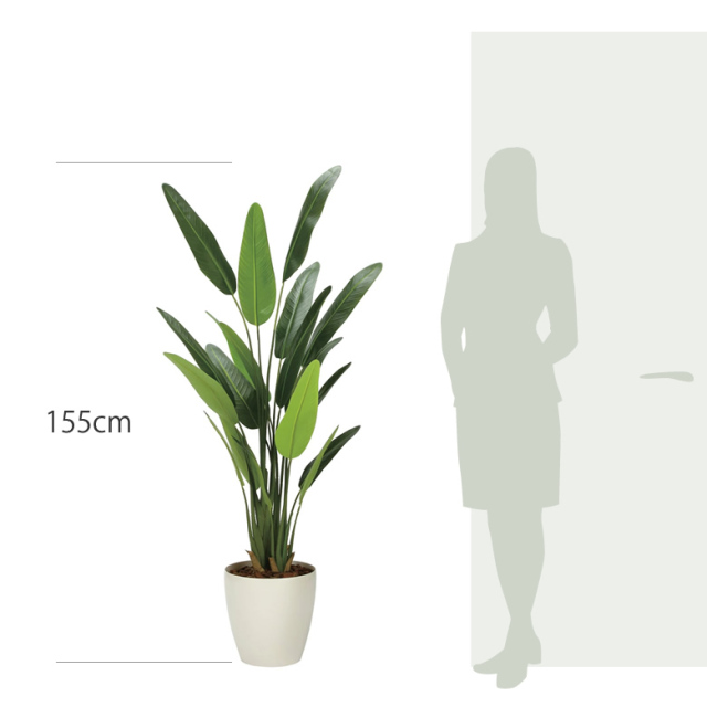 item_size_2314a320.jpg?t=