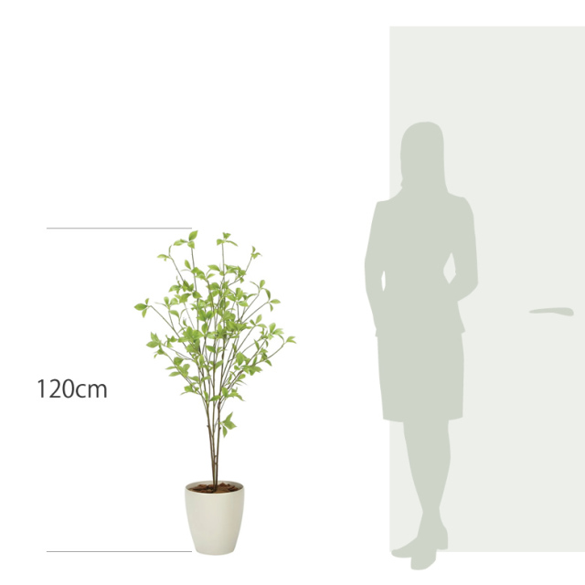 光触媒 光の楽園 クロモジ1.2m【インテリア フェイクグリーン 人工観葉