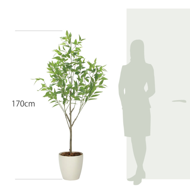 item_size_2329a500.jpg?t=