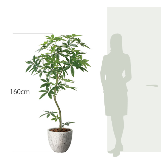 光触媒 光の楽園 ナチュラルパキラ1.6m【インテリア フェイクグリーン