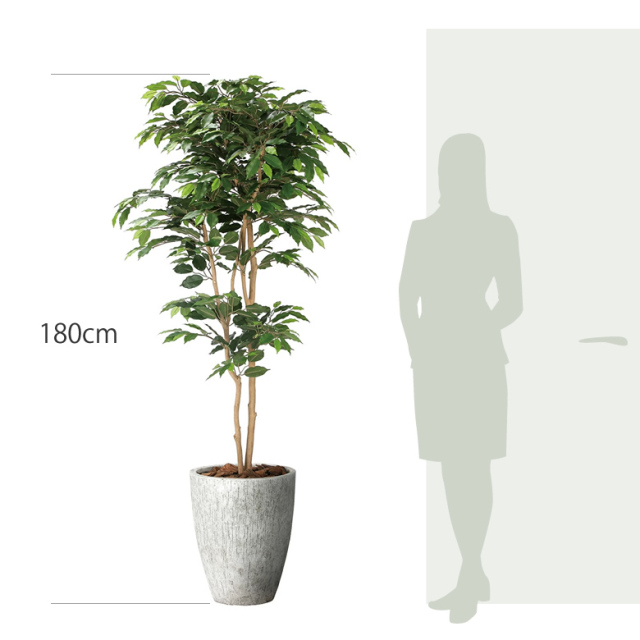 光触媒 光の楽園ナチュラルベンジャミン 1.8m【インテリア フェイク